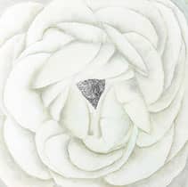 Titel: Weiße Rose mit SWAROVSKI Kristallen